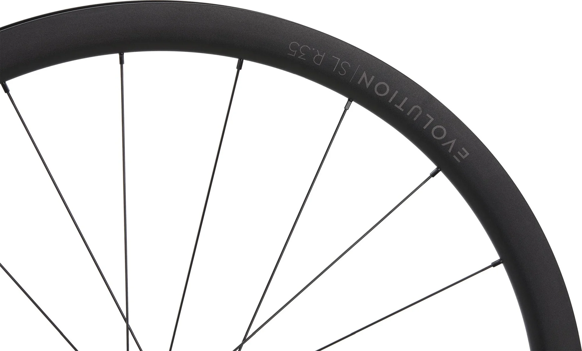 NEWMEN WHEEL EVOLUTION SL R.35 622 21H FADE R SJ CL 12X100 - Image 4
